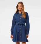 Colette Denim Shirt Dress
