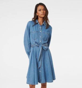 Colette Petite Denim Shirt Dress
